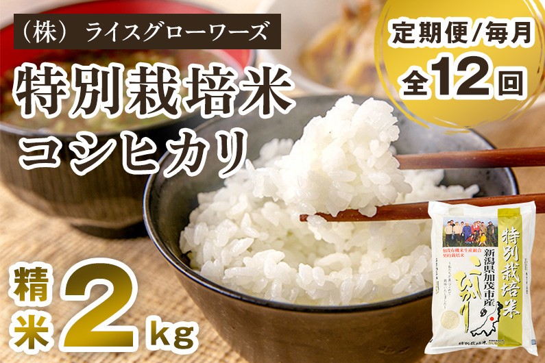 
                  【令和8年産新米先行予約】【定期便12ヶ月毎月お届け】新潟県加茂市産 特別栽培米コシヒカリ 精米2kg 《10月上旬～順次出荷》 従来品種コシヒカリ 新潟県産コシヒカリ 新潟産コシヒカリ 新潟コシヒカリ 新潟県産こしひかり 新潟産こしひかり 新潟こしひかり コシヒカリ こしひかり お米 白米 米 定期便 （株）ライスグローワーズ
                