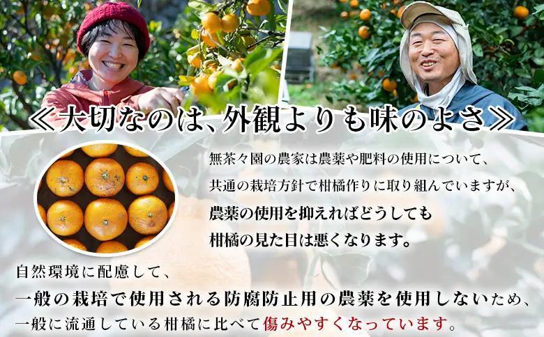  【先行予約】＜無茶々園の甘夏 約5kg＞ 果物 あまなつ みかん ミカン 蜜柑 柑橘 フルーツ 期間限定 季節限定 食べて応援 特産品 愛媛県 西予市 【常温】『2027年3月～5月上旬迄に順次出荷