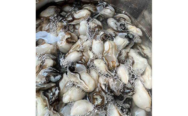 牡蠣北海道サロマ湖産 むき牡蠣（むき身）500g×2　生食 カキ かき むき牡蠣