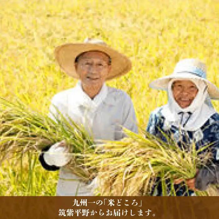米 【特A】「元気つくし」5kg×1袋 [5kg] [白米] [ABDF201] 令和7年産 米 白米 精米 ご飯 ごはん こめ コメ