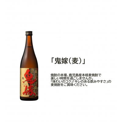 ふるさと納税 曽於市 岩川醸造 麦焼酎 飲み比べ小瓶×3本 |  | 02