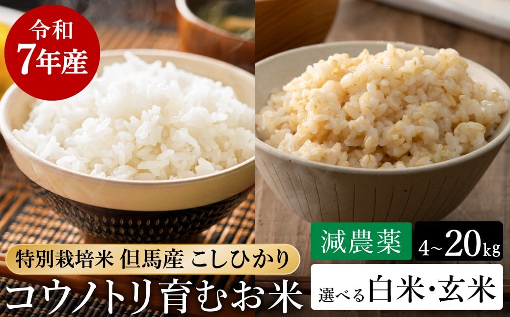 
                  令和7年産 減農薬 米 特別栽培米  白米 or 玄米  4kg・5kg・8kg・10kg・15kg・20kg コウノトリ育むお米 但馬産 こしひかり 兵庫県産（94-003・94-004）減農薬 お米  精米 白米 コウノトリ米 コシヒカリ コメ こめ ご飯 ライス 減農薬米
                