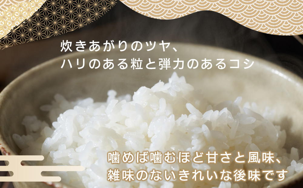 【令和7年産 新米 先行予約受付】ツキノワのコシヒカリ 精米 10kg ｜お米 白米 ご飯 コメ 栃木県 大田原市 