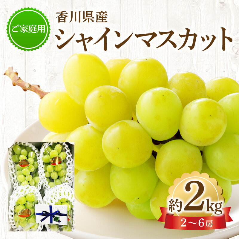 【ふるさと納税】ご家庭用シャインマスカット 約 2kg ぶどう 【2026-8月下旬～2026-9月下旬配送】 | シャイン マスカット ぶどう 果物 フルーツ デザート スイーツ 産地直送 皮ごと 人気 お裾分け おすすめ お取り寄せ 送料無料