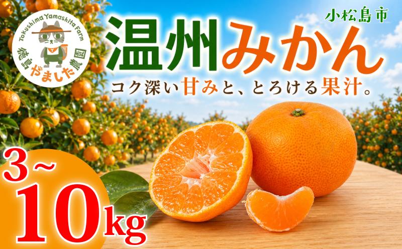 
                  【先行予約】 【2026年12月順次発送】 温州みかん 3kg 5kg 10kg  みかん  完熟 柑橘 果物 フルーツ 国産 新鮮 お中元 甘い 農家直送 【北海道、東北、離島、沖縄配送不可】
                
