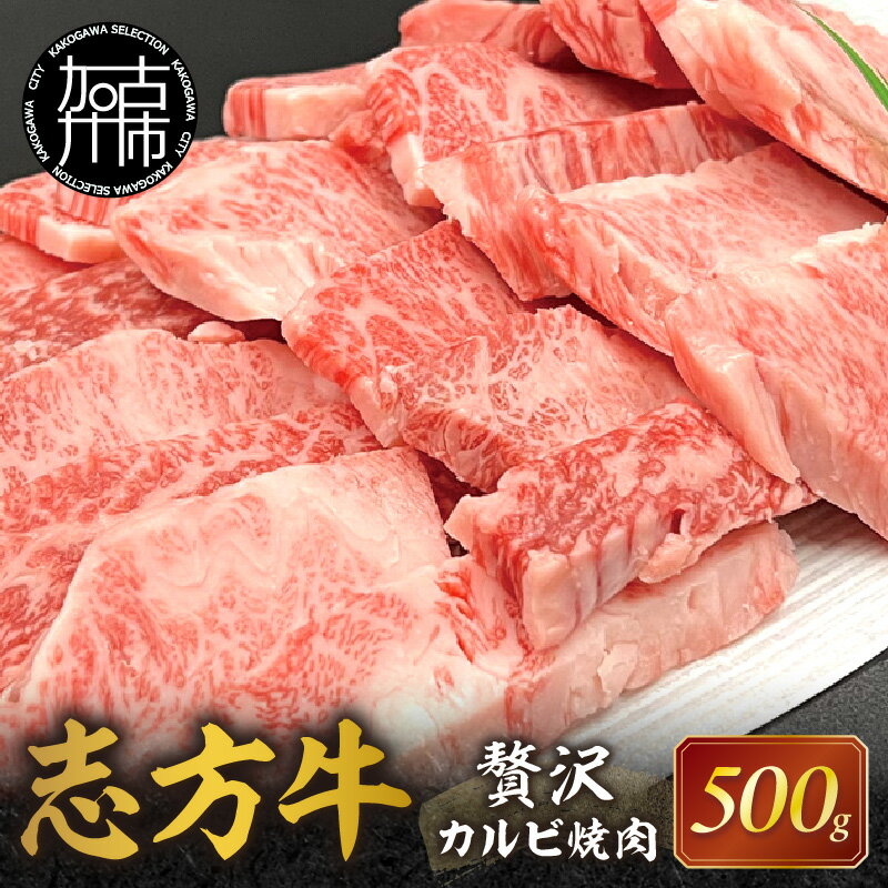 【ふるさと納税】志方牛贅沢カルビ焼肉《 牛肉 牛 志方牛 黒毛和牛 バラ肉 カルビ 肉 焼肉 》