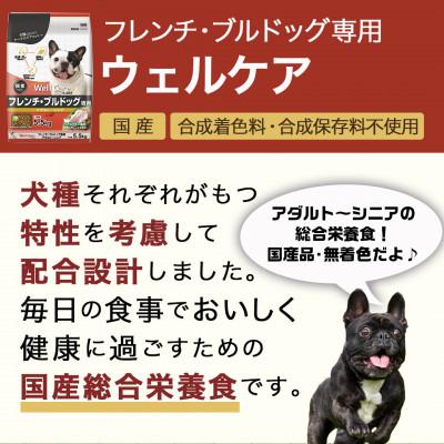 ふるさと納税 都城市 ドッグフード(フレンチ・ブルドッグ専用)アダルト〜シニア5.5kg |  | 01