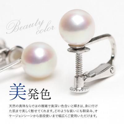 ふるさと納税 長崎市 あこや真珠 イヤリング 8.0-8.5mm SV925 シルバー |  | 01