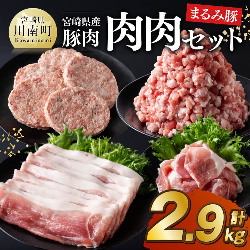 宮崎県産豚肉 「まるみ豚」 肉肉セット計2.9kg 【 肉 豚肉 国産 モモ ミンチ ハンバ―グ スライス こま切れ 弁当 おかず お手軽 真空パック 九州産 宮崎県産 川南町産 送料無料 】