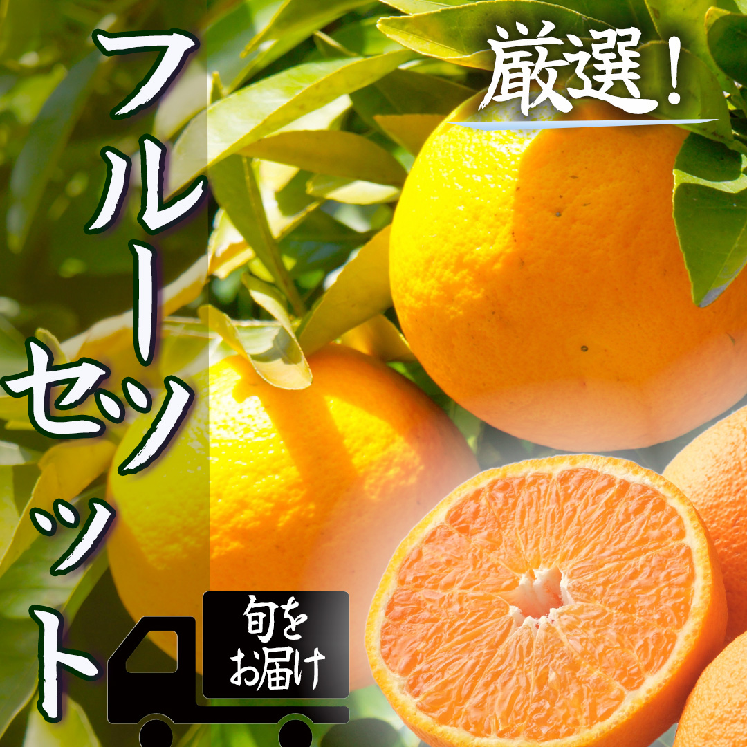 湯の花　旬のフルーツセット 【はるみ ポンカン 温州 セット 旬 みかん 果物 果物 フルーツ 旬 柑橘 甘い 新鮮 伊豆 南伊豆 】