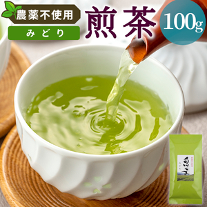 農薬不使用！煎茶 みどり 100g 常磐園 白川茶 美濃白川茶 日本茶 緑茶 煎茶 茶葉 お茶 春摘み リーフ 国産 お試し 岐阜県 東白川村