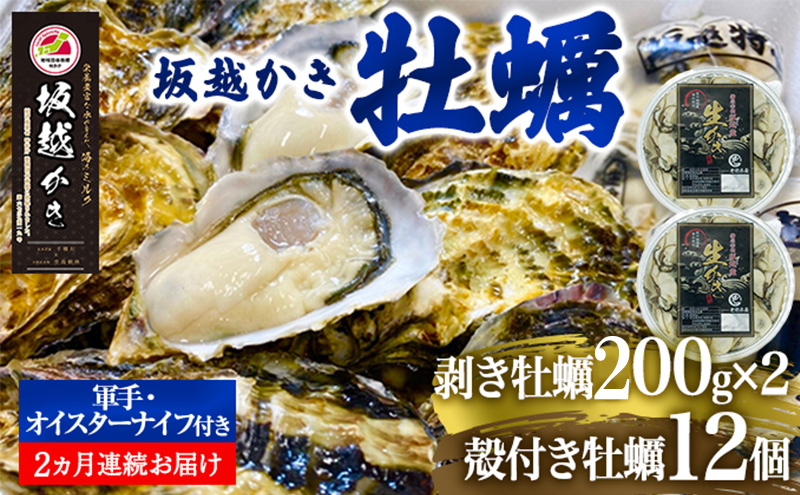 定期便 牡蠣 坂越かき 剥き牡蠣 200g×2、殻付き牡蠣 12個 オイスターナイフ付き【2ヵ月連続お届け】[ 生牡蠣 かき カキ 生食 冬牡蠣 ] 魚貝類 