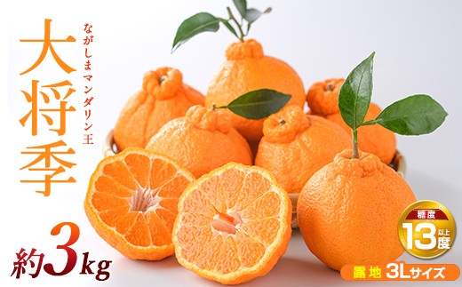 
                  ながしまマンダリン王【露地】(大将季) 約3kg【ながしまマンダリングループ】 mandarin-7196
                