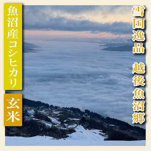 【定期便：雪国逸品 玄米２Kg×12ヶ月】越後魚沼郷 魚沼産コシヒカリ お米 ブランド米 銘柄米 ご飯 おにぎり お弁当 和食 産地直送 香り つや 粘り 