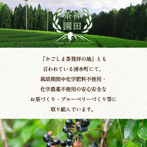 y313《数量限定》鹿児島県湧水町産！栽培期間中農薬・化学肥料不使用！湧水上煎茶(100g×5本)！【神田茶園】