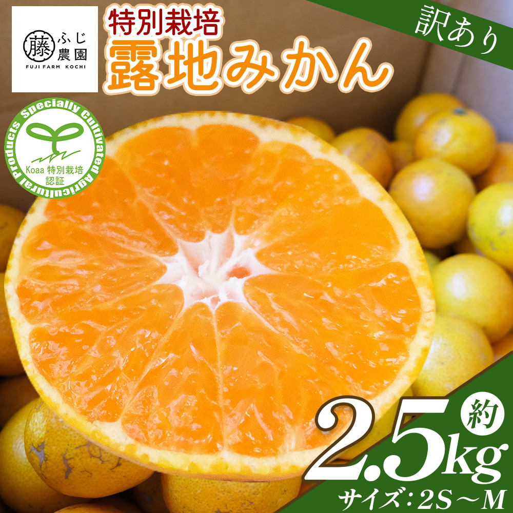 ふじ農園の露地みかん 訳あり品 2.5kg (2S～M) - 国産 蜜柑 ミカン 柑橘 果物 フルーツ 訳アリ ご家庭用 家庭用 自宅用 ふじ農園 高知県 香南市 常温 fn-0004