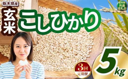 【定期便3回】いちご農家さん応援米！ 令和7年度産 玄米 約5kg こしひかり |  真岡市産 米  お米 こめ 玄米 ご飯 ごはん もちもち コシヒカリ 限定 ふるさと納税 先行 予約 栃木県 真岡市 送料無料 