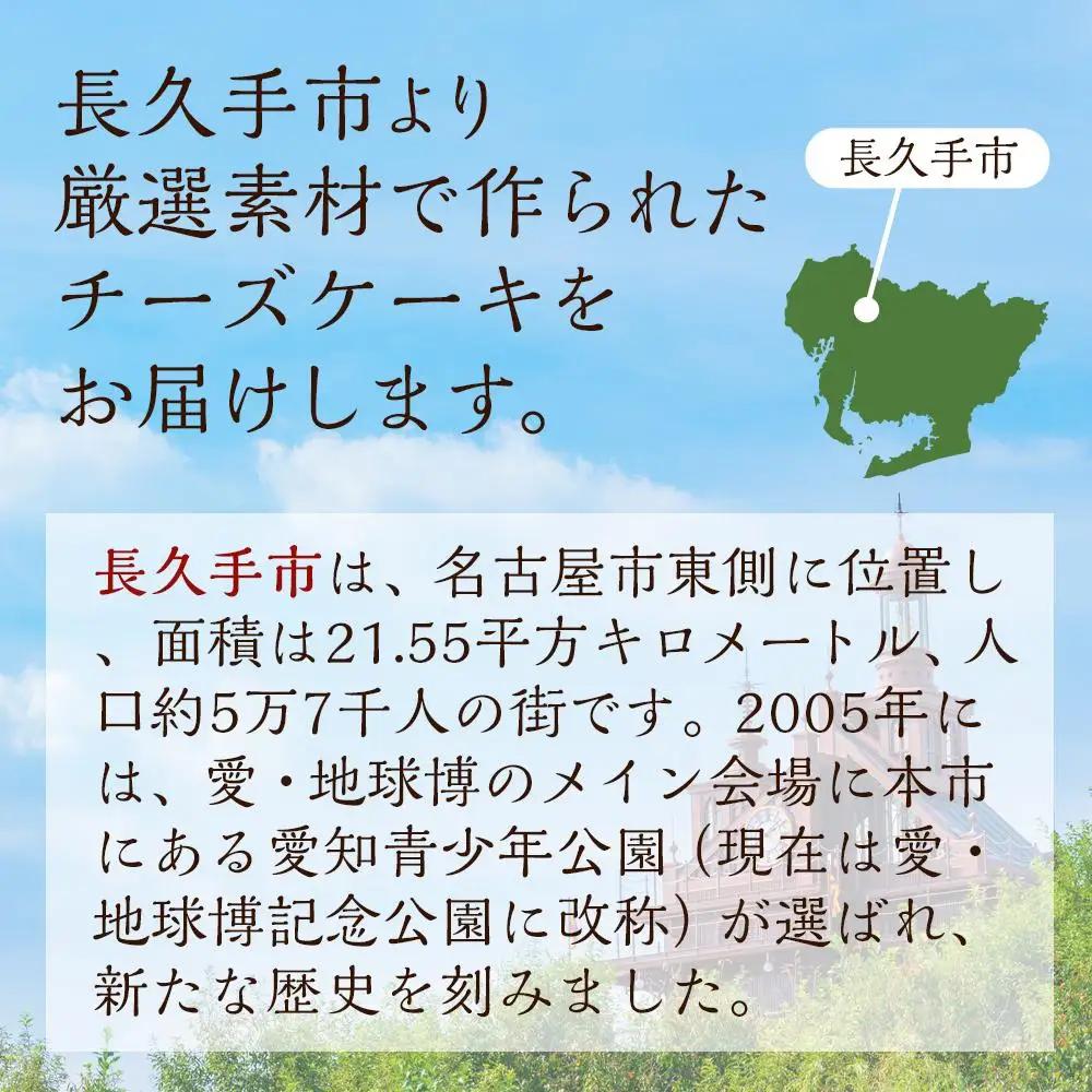 濃厚プレミアムチーズケーキ | 濃厚 ケーキ チーズ チーズケーキ スイーツ 洋菓子 人気 おすすめ ギフト プレゼント お取り寄せ 通販 送料無料 ふるさと納税