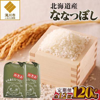 ふるさと納税 滝川市 《令和8年産新米》12ヵ月連続お届け!ななつぼし10kg 特A 銘柄 ブランド米 北海道 定期便