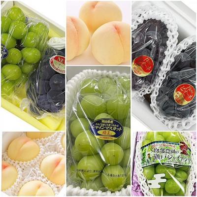 ふるさと納税 津山市 【発送月固定定期便】岡山県産  フルーツ定期便全6回 |  | 01