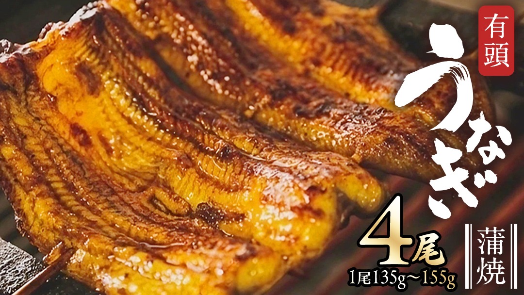 鹿児島県産 有頭 鰻 蒲焼 × 4尾 （ 1尾 135g ～ 155g 以上） うなぎ ウナギ 土用丑の日 家庭用 贅沢 国産 旬 敬老の日 タレ 山椒 付 縁起 [DQ008us]