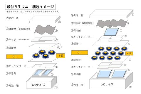 (10043)殻付きウニ 4個 冷蔵 生うに 雲丹 長門市  ムラサキウニ