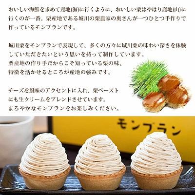 ふるさと納税 西予市 <城川オリジナルモンブラン (6個入)>　スイーツ　お菓子　マロン　和栗　西予市　国産 |  | 02