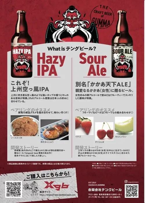 クラフトビール TENGOOD BEER 4種飲み比べセット テングビール