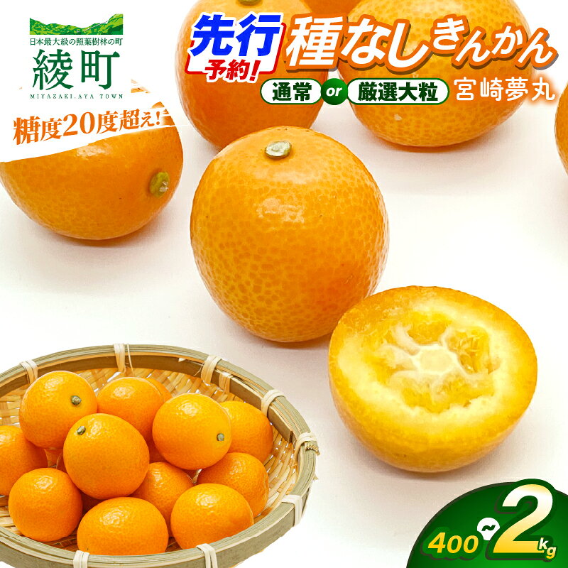 【ふるさと納税】先行予約 《選べる種類・内容量》 きんかん 「宮崎夢丸」 400g 1kg 2kg 数量限定 大粒 種無し 果物 フルーツ くだもの 柑橘 金柑 プレミア おすすめ パック ギフト 贈り物 贈答 おやつ スイーツ デザート 糖度が高い 常温 産地直送 宮崎県 綾町 送料無料