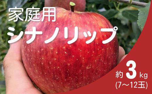 KR27-25A りんご シナノリップ 家庭用 約3㎏（7〜12玉） /  8月下旬頃～配送 // 長野県 南信州 松川町産 自家用 訳あり リンゴ 林檎 早生りんご  農家直送 農家支援 産地直送