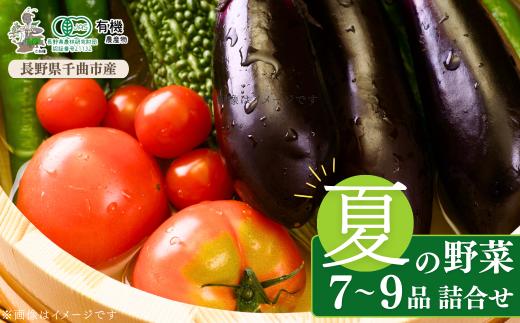 信州ありさんファーム 旬の野菜 7~9品 夏版 【有機JAS認証】 夏野菜 詰合せ 詰合わせ 詰め合わせ つめあわせ セット 有機栽培 オーガニック 信州 特産品 千曲市 長野県