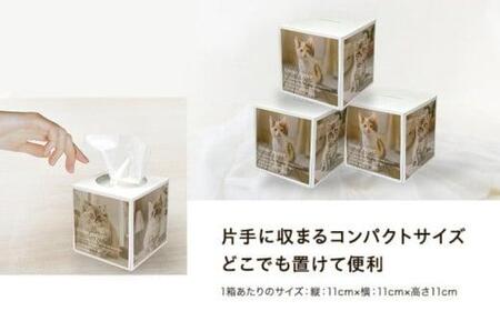 キューブ型 ティッシュ 42箱 ティッシュペーパー 日用品 日用品