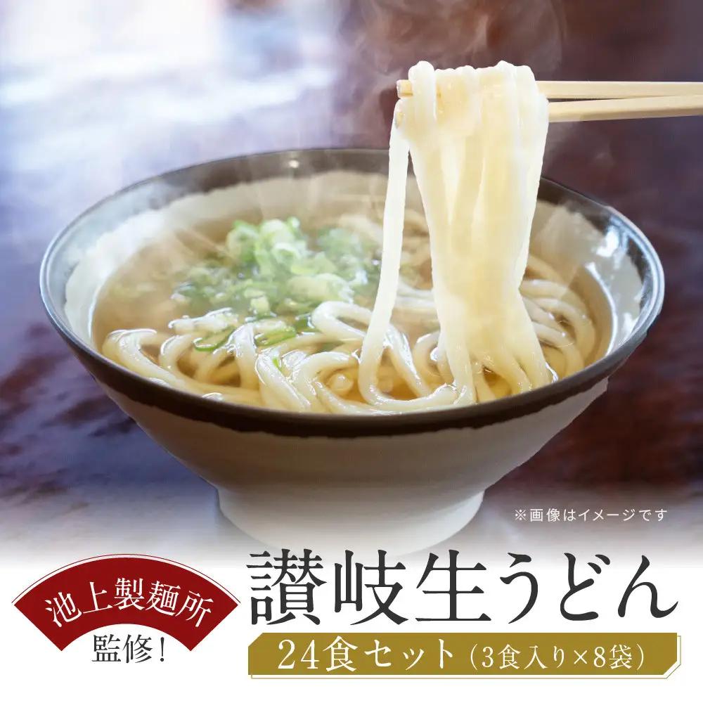 讃岐生うどん24食入（1袋3食入×8袋）＊鎌田醤油だし醤油付＊池上製麺所監修！｜うどん