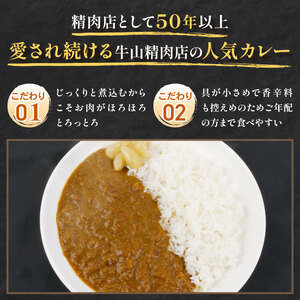 自家製 煮込み ハンバーグ 2個入り(180g)×2パック 自家製カレー 200g×3パック セット 国産牛 牛肉 国産豚 個包装 湯煎可 温めるだけ 簡単 レンジ 牛山精肉店 特製 手作り 沼津 静