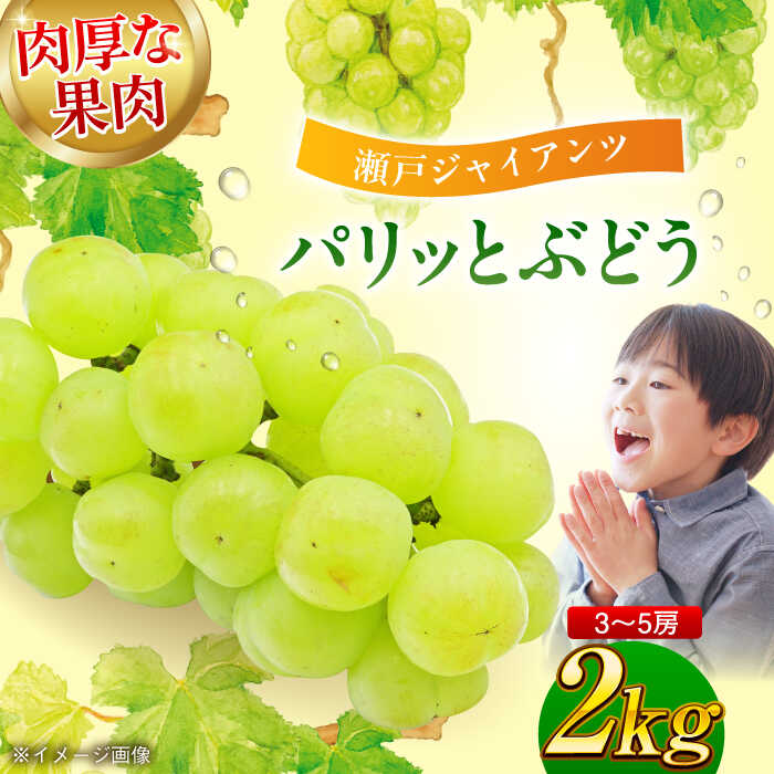 【ふるさと納税】【先行予約】【9月上旬より順次発送】ぶどう 瀬戸ジャイアンツ 2kg（3〜5房） | 人気 おすすめ ランキング おいしい 甘い 葡萄 果物 大洲市/沢井青果[AGBN005] 20000 20000円 以下