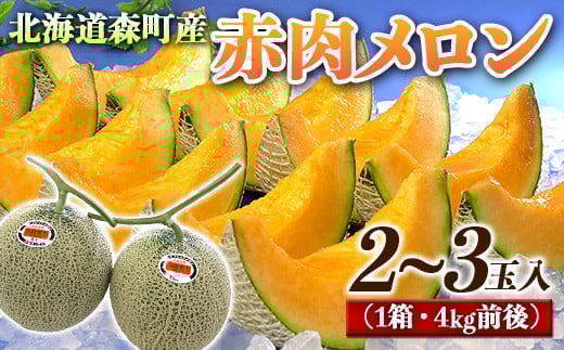 【先行予約】北海道森町産赤肉メロン2～3玉入り（1箱4kg前後）（2025年6月上旬～8月上旬頃順次発送）＜道産ネットミツハシ＞  森町 メロン 果物 赤肉 北海道産 ふるさと納税 北海道 mr1-0906