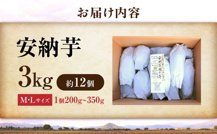 さつまいも サツマイモ さつま芋 焼き芋 やきいも スイーツ 甘い とろとろ 薩摩芋 デザート 甘芋 スイートポテト 芋 イモ