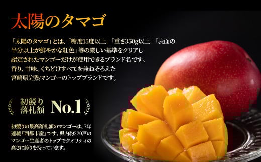 【先行予約】最高級ブランド『太陽のタマゴ』2L×2個【糖度15度以上】宮崎県西都市産完熟マンゴー ＜2-76＞2026年発送