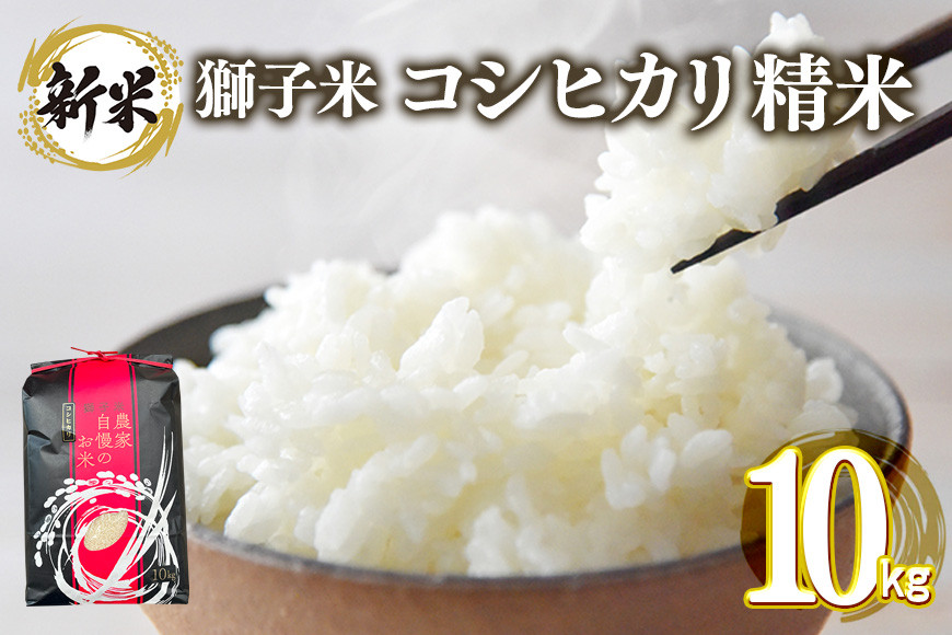 
            【令和6年産】獅子米 コシヒカリ 精米 10kg 岡田ファーム コンテスト受賞米 お米 白米 米 おこめ ブランド米 こしひかり 10キロ 国産 単一原料米 コメ こめ ご飯 銘柄米 茨城県産 茨城 産直 産地直送 農家直送 ごはん 家庭用 贈答用 お取り寄せ ギフト 茨城県 石岡市 (G419)
          