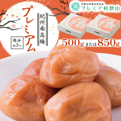 【ふるさと納税】梅干し 紀州南高梅 プレミアム 塩分 約3% 500g または 850g 《60日以内に出荷予定(土日祝除く)》 株式会社やまだ 和歌山県 日高町 梅 塩 梅干し 米 おかず 国産 送料無料