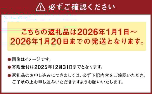 熊本県産晩白柚 1玉入り