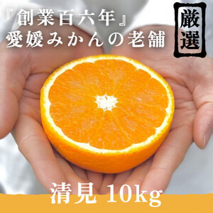 創業百八年 愛媛みかんの老舗【清見10kg】【新口農園】【E70-15】【1470710】