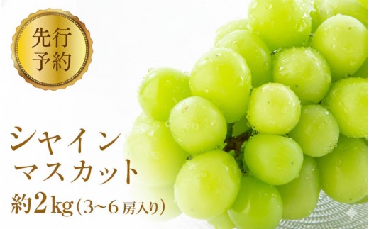 
                  2026年産ぶどう  シャインマスカット 約2kg 3～6房入り 葡萄 ブドウ フルーツ 果物 シャイン マスカット デザート おやつ 信州 2026年秋発送 |  葡萄 ブドウ フルーツ 果物 シャイン マスカット デザート ぶどう フルーツ 果物 人気 おすすめ  送料無料  長野県 長野市 信州 信濃 ふるさと納税
                