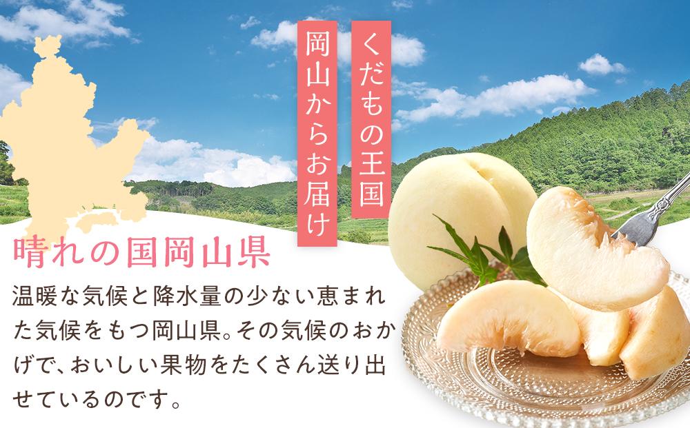 桃 2024年 先行予約 清水 白桃 6～8玉入 約2.0kg 岡山市一宮地区産 もも モモ フルーツ 果物 ギフト