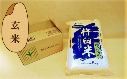 
            【玄米3ヶ月定期便】特別栽培「きなうす米」ゆめぴりか5kg×3回　J030
          