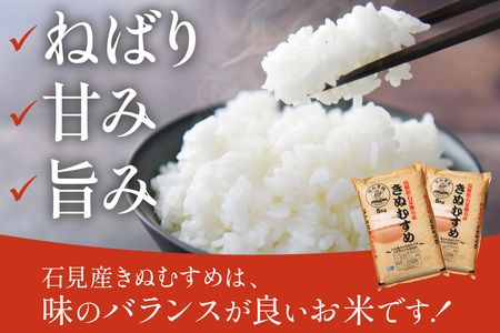 【定期便】【令和5年産】石見産きぬむすめ 60kg 6ヶ月（10kg×6回コース） お取り寄せ 特産 お米 精米 白米 ごはん ご飯 コメ 新生活 応援 準備 【238】