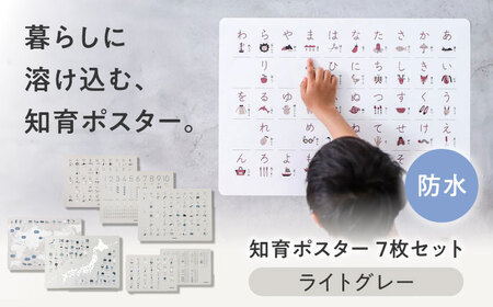 知育 知育ポスターライトグレー 7枚セット 日本地図 世界地図 知育 教育 BJBA004
