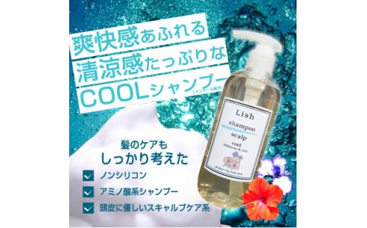 シャンプー Lish クールシャンプー ハイビスカス&アイリスの香り 300ml × 1本 頭皮ケア ダメージケア ノンシリコン ハリ コシ はり こし 爽快感 清涼感 メントール さっぱり COOL クール さらさら まとまる 泡立ち こだわり 男性 女性 スキャルプ系 アミノ酸系 リラックス  美容院 髪質 質感 ポンプ式 送料無料 ふるさと納税 Lish リッシュ 千葉県 旭市 lis002