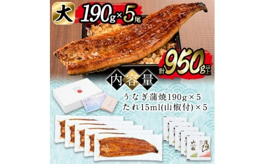 日ノ本一の鰻の蒲焼き＜大＞5尾セット(計950g以上) d3-001