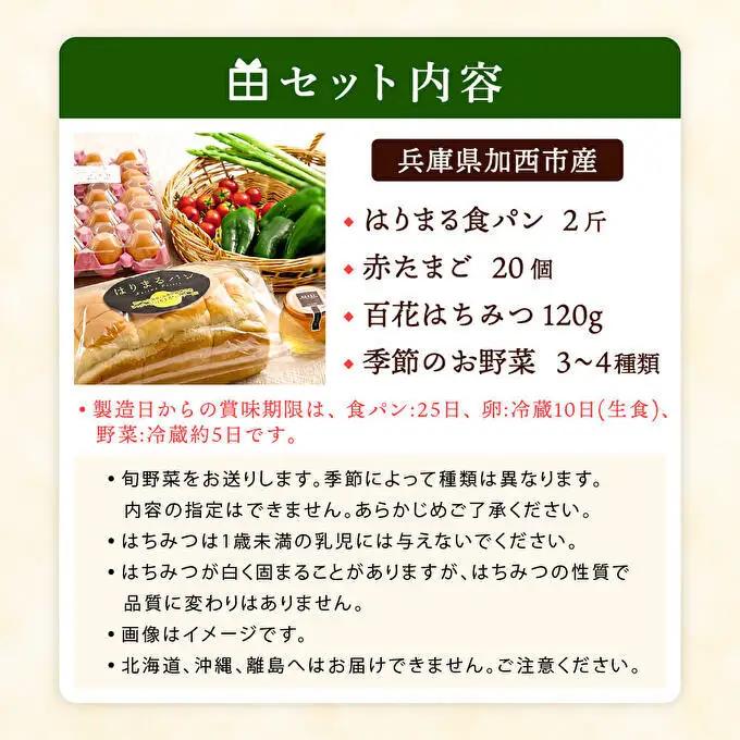 モーニングセット 播磨特選 パン 卵 野菜 モーニングセット